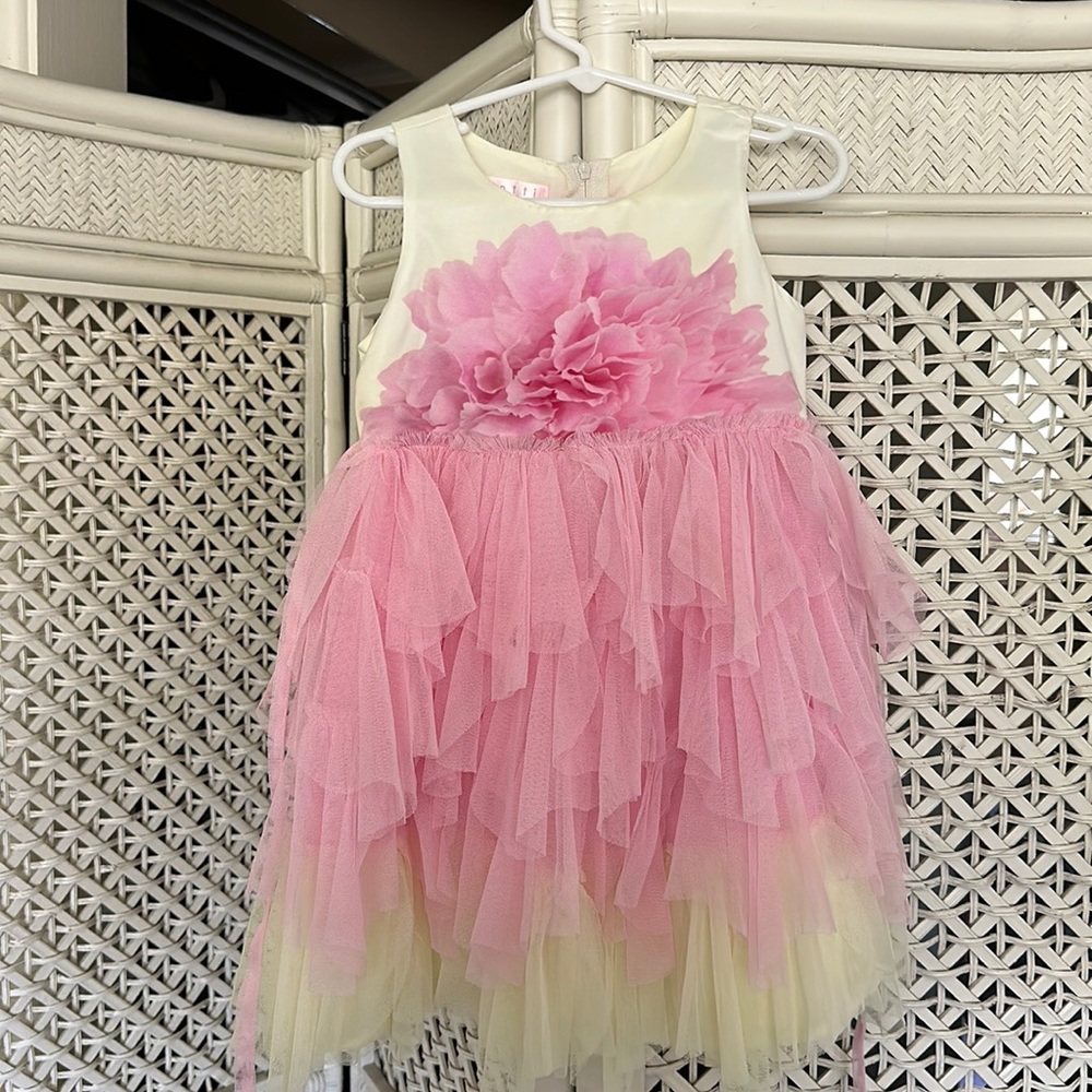 Biscotti dress size 4